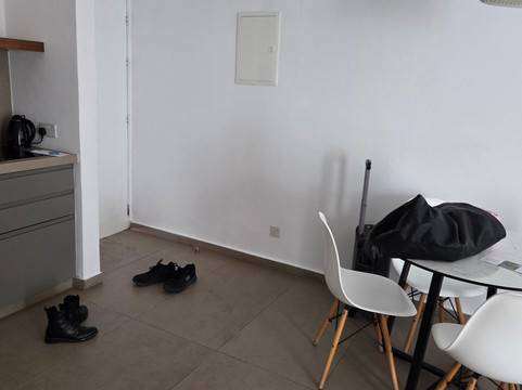 阿利亚松爱琴主图