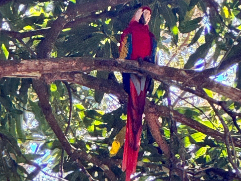 Reserva Curu-彭塔雷纳斯必去景点