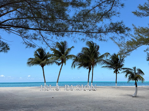 Isla Pasion-考祖梅必去景点