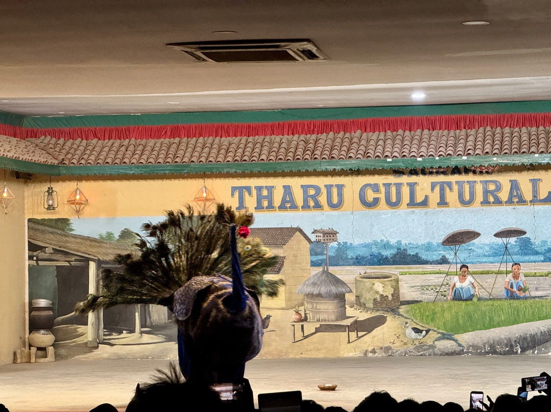 Tharu Culture Programme-苏拉哈必去景点
