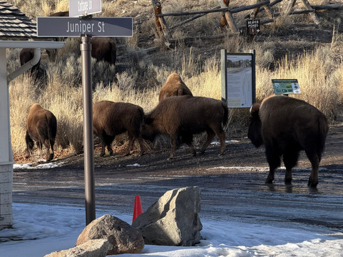 Austin Adventures-比灵斯必去景点