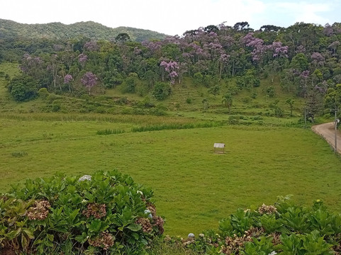 Vale das Hortensias Hotel主图