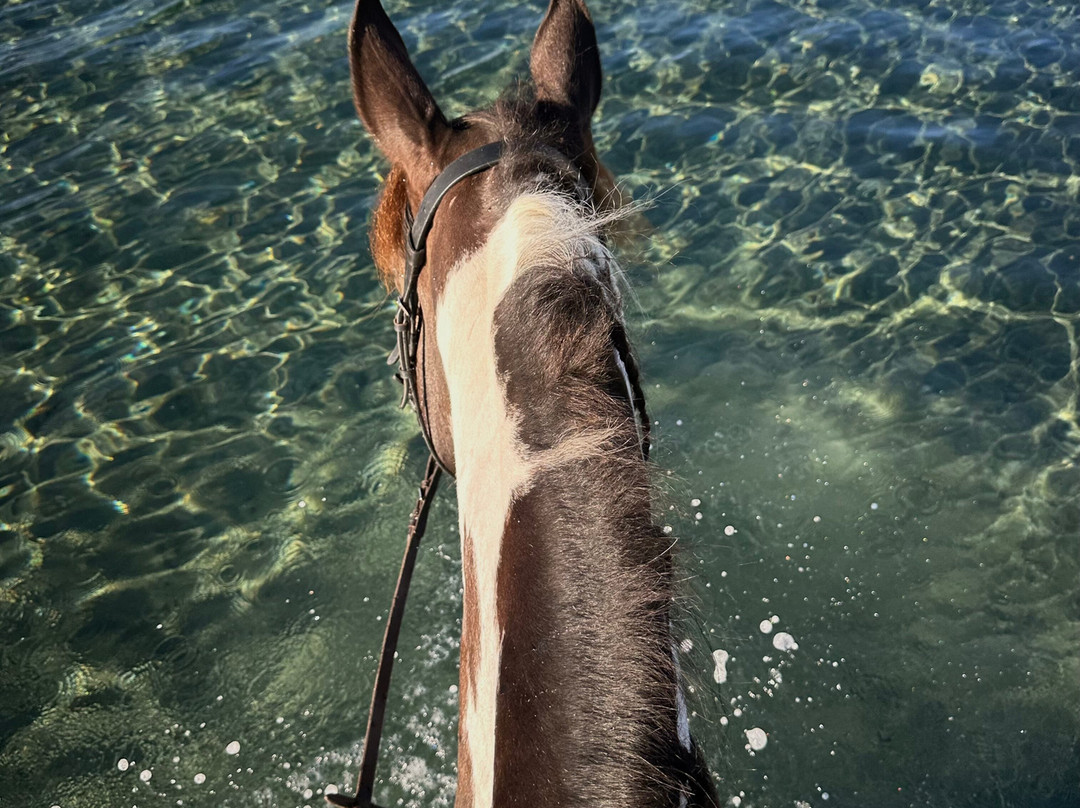 Horse Riding In Leros - The Mountain Ranch-Partheni必去景点