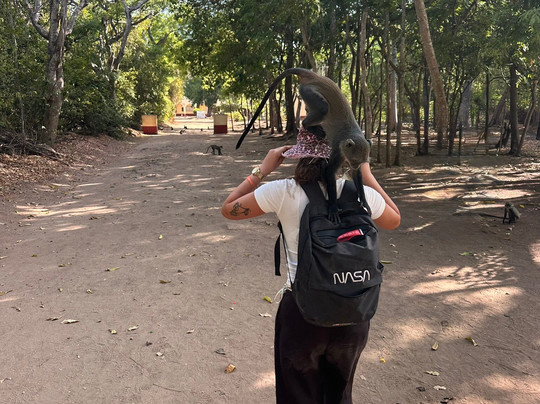 Mangi Kenya Safari-Malindi Marine National Park必去景点