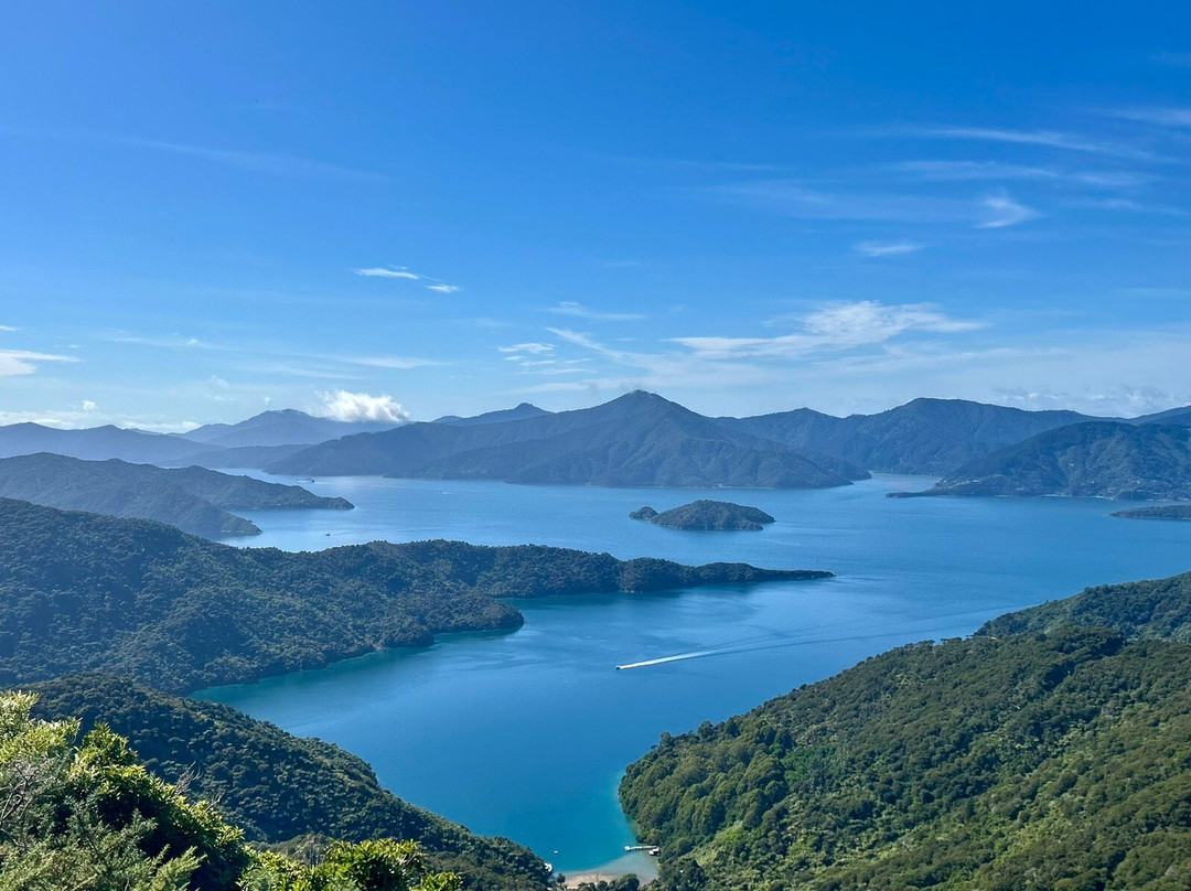 Marlborough Sounds Adventure Company - Day Tours-皮克顿必去景点