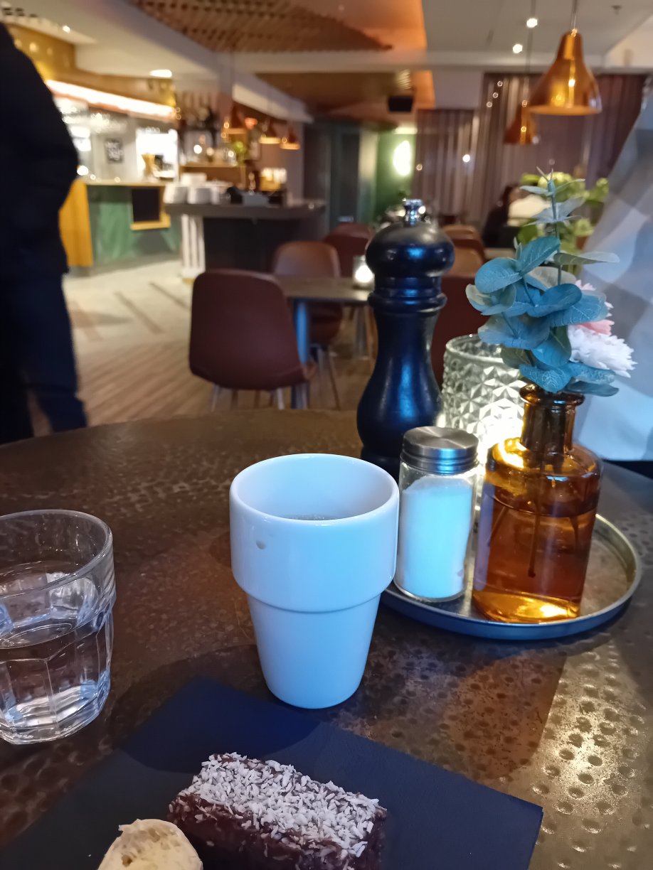 乌普萨拉家园酒店-官方