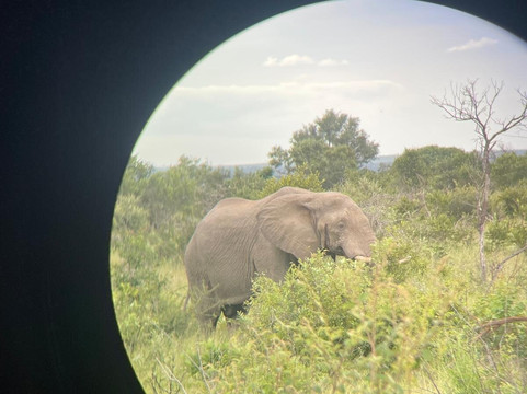 Legend Safaris-雾观必去景点
