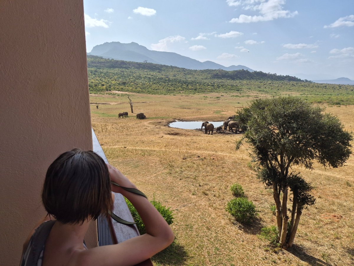 Ngulia Safari Lodge-官方