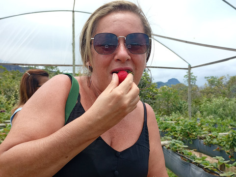 Sítio Frutas Vermelhas-Mucuge必去景点