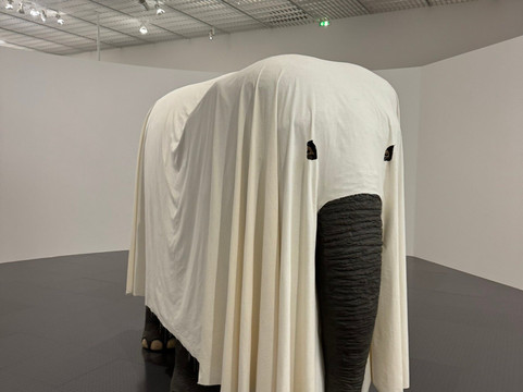 Centre Pompidou-Metz-梅斯必去景点