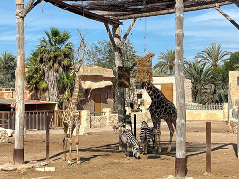 Rio Safari Elche-埃尔切必去景点