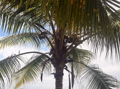 Walkers Reserve-布里奇顿必去景点