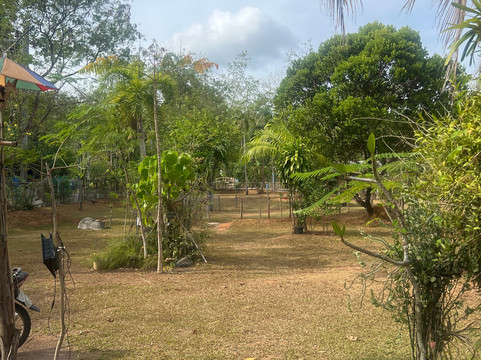 普吉岛疯狂足球高尔夫-芭东海滩必去景点