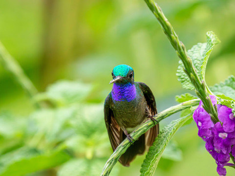 Hacienda Baru Lodge-主日镇必去景点