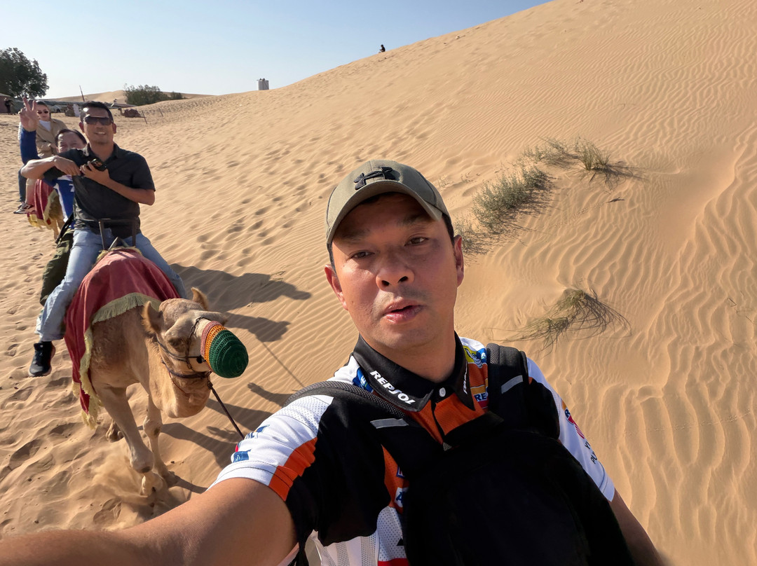 Abu Dhabi Desert Safari-阿布扎比必去景点
