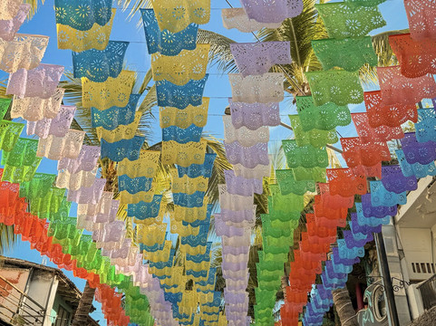 Vallarta Transportation Services-瓦拉塔港必去景点