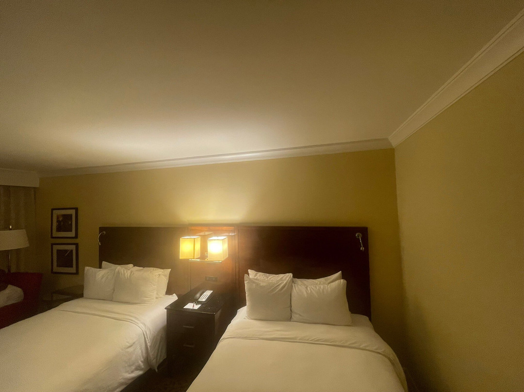 新奥尔良梅泰里莱克威万豪酒店主图