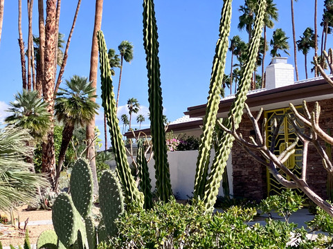 Palm Springs Historical Society-棕榈泉市必去景点