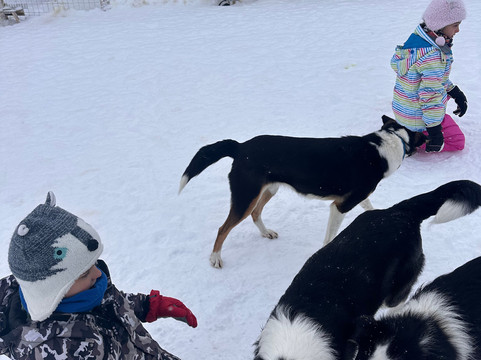 Wingrens Dogsafaris-Kongas必去景点