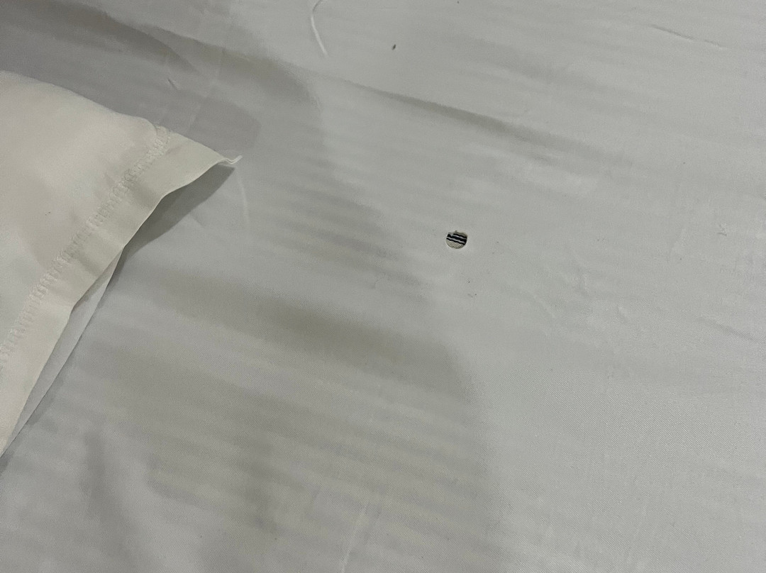 Kelvish 酒店的 Smart 酒店主图