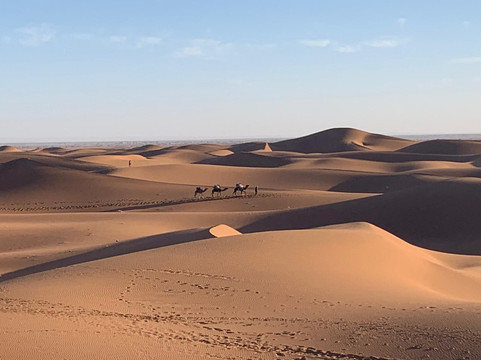 Racines du Désert-迈哈米德必去景点
