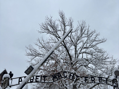 Pavel Travel-克拉科夫必去景点