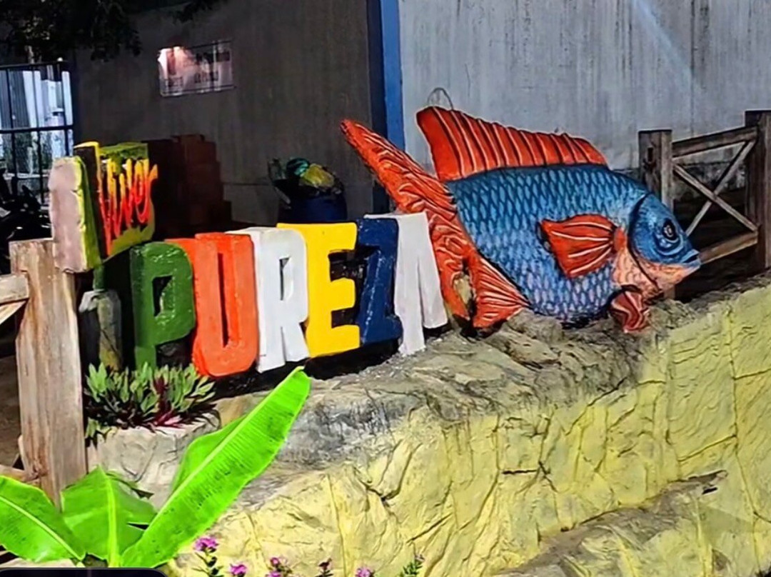 Olheiro Spring-Pureza必去景点