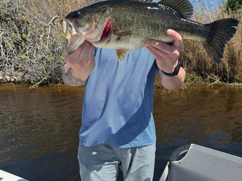 Okeechobee Bass Guide Service-奥基乔比必去景点