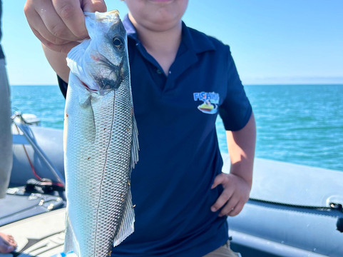 Experience Peche-勒格罗迪鲁瓦必去景点