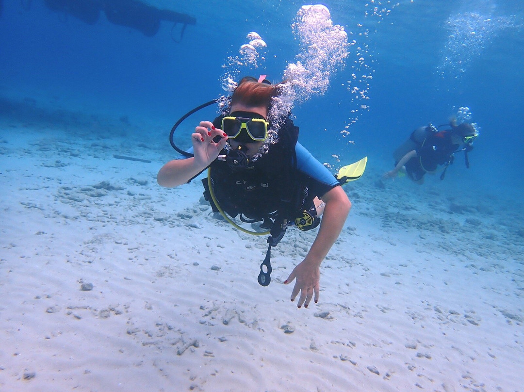 Trunkdivers-库拉索必去景点