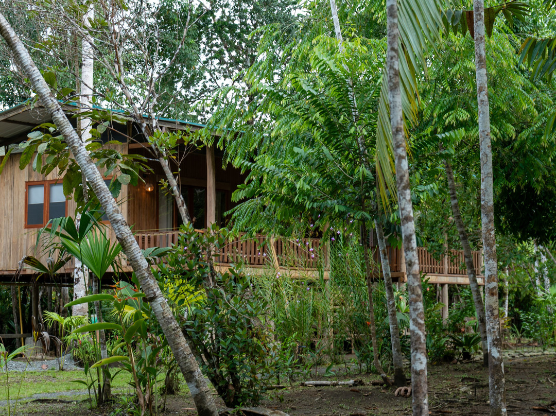 Jardín Botánico del Pacifico-Bahia Solano必去景点