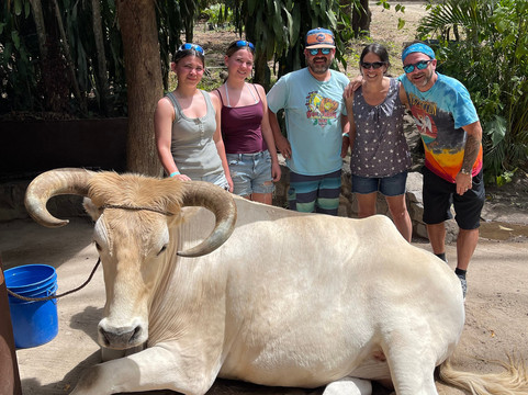 Get Lost In Costa Rica-塔马林多必去景点