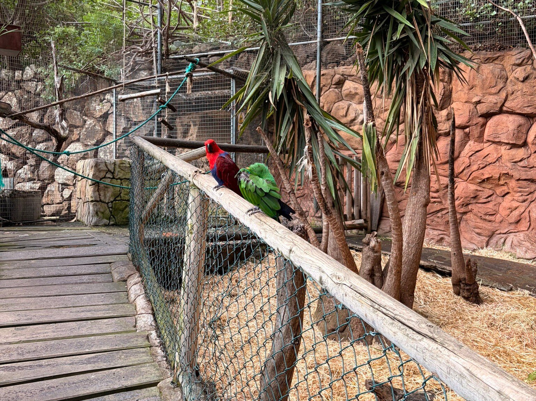 Maroparque Isla de La Palma-Brena Alta必去景点