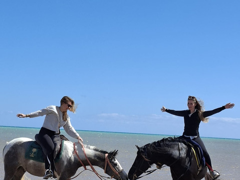 Yallahorse Stable-艾高娜必去景点