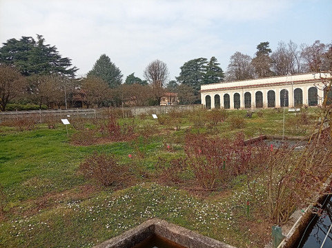 Roseto Niso Fumagalli-蒙扎必去景点