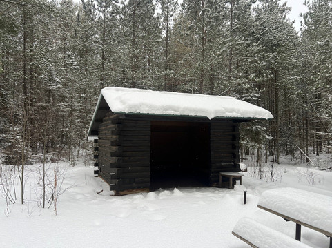 Demonstration Forest-Two Harbors必去景点