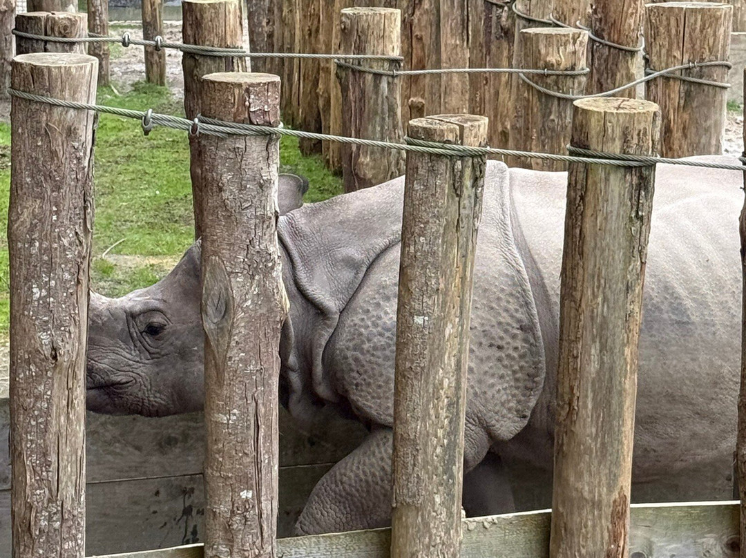 Parc Animalier et Botanique de Branféré-Le Guerno必去景点