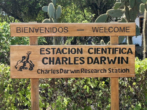 Charles Darwin Research Station-阿约拉港必去景点