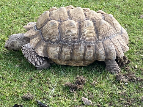 Dalscone Farm Fun-邓弗里斯必去景点