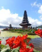 Adi Bali Gede Tour-新加拉惹必去景点