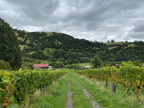 French Peak Vineyard-阿卡罗阿必去景点