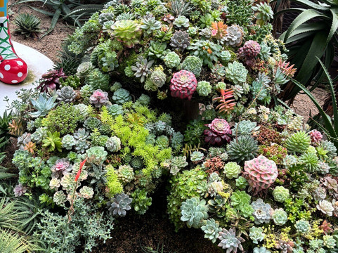 My Singapore Holiday-新加坡必去景点