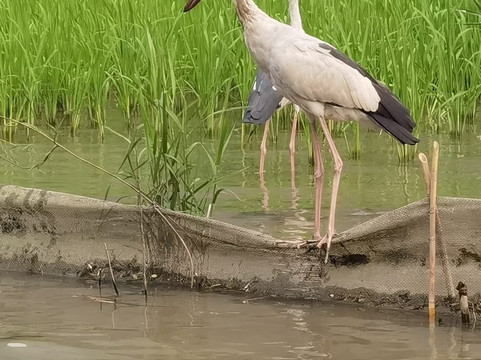 Vietnam Dragon Travel-河内必去景点