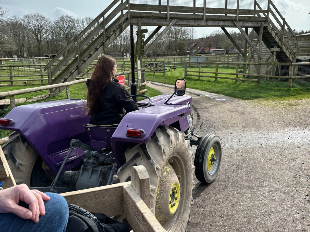 Blackberry Farm Park-刘易斯必去景点