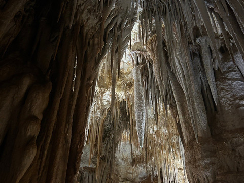 Tantanoola Caves Conservation Park-Tantanoola必去景点