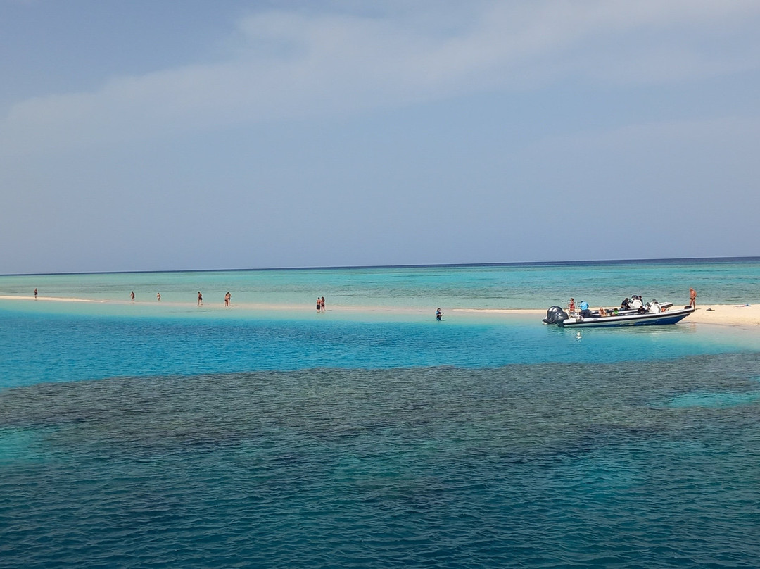 Wadi El Gemal National Park-马萨阿拉姆必去景点