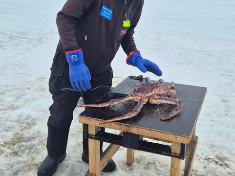 帝王蟹捕捞之旅-希尔克内斯必去景点