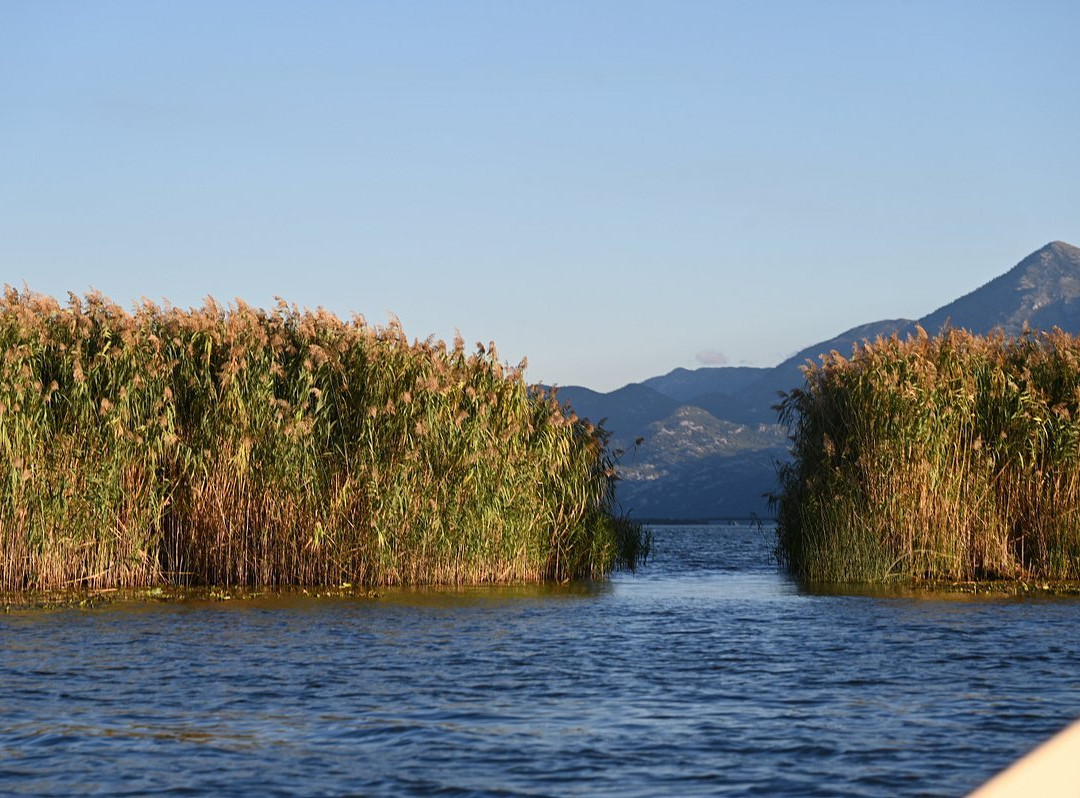 Skadar Lake - Boat Cruise Milena-维尔巴札拉必去景点