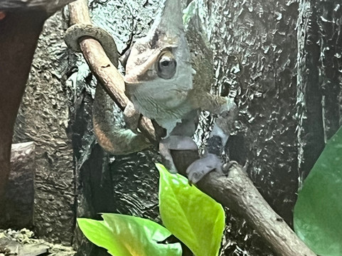 Potter's World-Lanchester必去景点