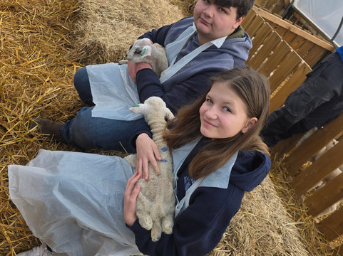 Hillview Animal Park-Alloa必去景点